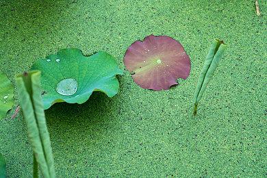 黑暗幻想ARPG《万物契约》预告 2025年免费推出